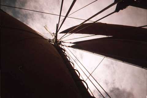 Featured Photo