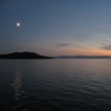 Moonlight
