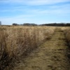 Prairie Trail