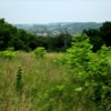 Toward New Glarus