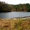 Cox Hollow Lake