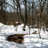 Snow Hiking