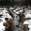 Spring Runoff