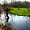 Marsh Creek 1
