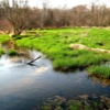 Marsh Creek 2