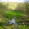 Soggy Trails