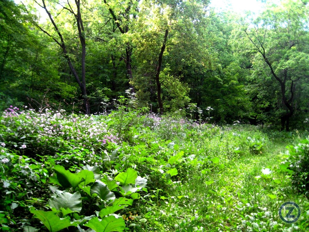 Blue Mound State Park